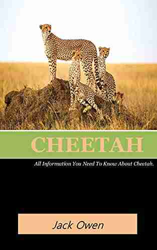 CHEETAH: All Information You Need To Know About Cheetah