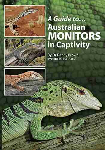 A Guide To Australian Monitors In Captivity