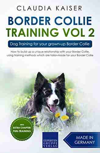 Border Collie Training Vol 2: Dog Training for your grown up Border Collie