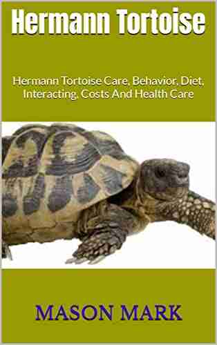 Hermann Tortoise: Hermann Tortoise Care Behavior Diet Interacting Costs And Health Care