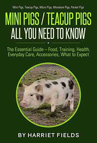 Mini Pigs / Teacup Pigs All You Need To Know: The Essential Guide ? Food Training Health Everyday Care Accessories What To Expect Mini Pigs Teacup Pigs Micro Pigs Miniature Pigs Pocket Pigs