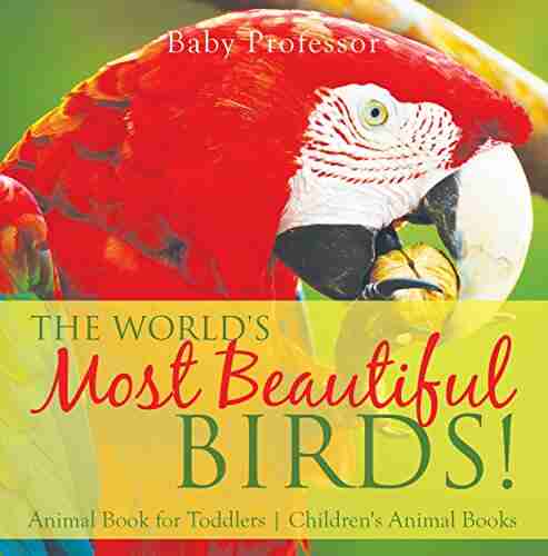 The World s Most Beautiful Birds Animal for Toddlers Children s Animal