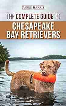 The Complete Guide To Chesapeake Bay Retrievers: Training Socializing Feeding Exercising Caring For And Loving Your New Chessie Puppy