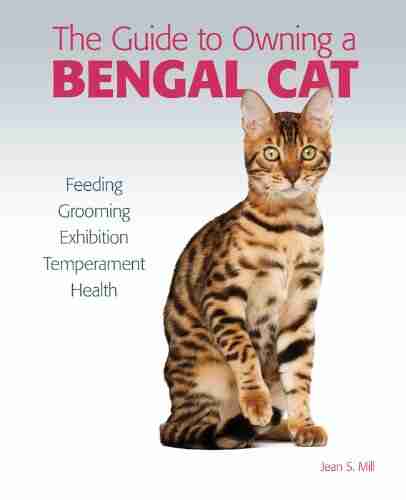 Guide To Owning A Bengal Cat