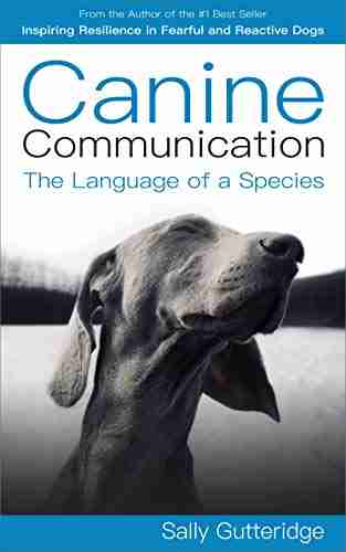 Canine Communication: The Language Of A Species