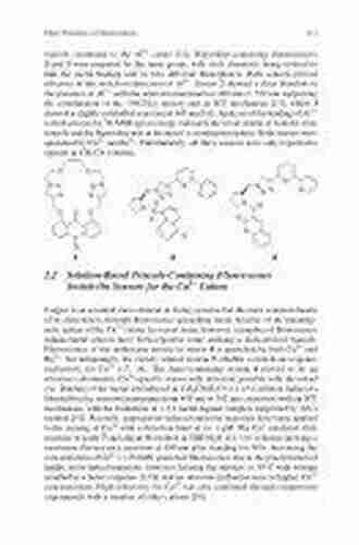 Click Triazoles (Topics In Heterocyclic Chemistry 28)