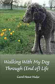 Walking With My Dog Through (End of) Life