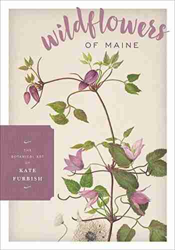 Wildflowers Of Maine David H Lewis